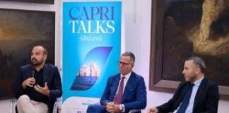 Welfare, Fava (Inps): “Giovani, donne e senior leve che sosterranno Paese”