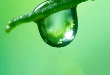 PFAS: Acque del Chiampo presenta a Vicenza la tecnologia sperimentale RADOX per la degradazione completa dei microinquinanti pfas