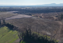 PFBA nell’acqua? Uno studio epidemiologico in arrivo a Dueville, la Regione: “Critica la situazione dei pozzi privati” La discarica Terraglioni-Egi Zanotto di Montecchio Precalcino, non è impermeabilizzata e contiene le terre da scavo della SPV contenenti PFBA.