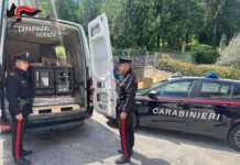 Carabinieri smantellano rete di furti di stufe di pregio tra Veneto e Friuli: tre denunciati carabinieri schio