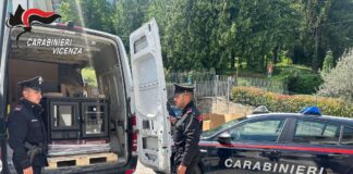 Carabinieri smantellano rete di furti di stufe di pregio tra Veneto e Friuli: tre denunciati carabinieri schio