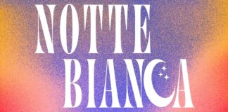 Shopping, degustazioni, musica e spettacoli: Sovizzo si accende con la Notte Bianca Notte Bianca a Sovizzo