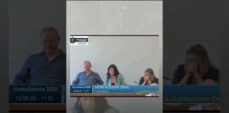 Abruzzo, il sindaco attacca la consigliera: “Prenda la scopa e inizi a imparare qualcosa”