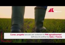 Agroindustria, Cuneo lancia Tra_in: formazione, imprese e filiere integrate sull’arco alpino