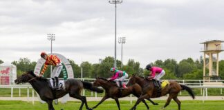 All’Ippodromo Snai San Siro un 2 Giugno di grande sport e intrattenimento