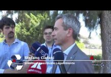 Ambiente: Ciafani (Legambiente), ‘transizione ecologica e digitale avanti di pari passo’