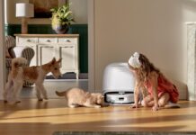 Animali, sondaggio Roborock rivela come cambia l’igiene domestica per i pet parent italiani