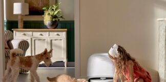 Animali, sondaggio Roborock rivela come cambia l’igiene domestica per i pet parent italiani