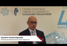 Camere di Commercio: il Centro Studi Tagliacarne compie 40 anni. Intervista al DG Gaetano Fausto