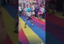 Cina, robot colpisce un bambino con un calcio nello stomaco