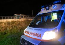 Crotone, scontro tra due auto e cavalli vaganti: morta una donna