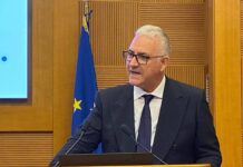 Cuzzilla (Cida): “Ai già nel lavoro dei manager ma non in modelli organizzativi”