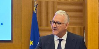 Cuzzilla (Cida): “Ai già nel lavoro dei manager ma non in modelli organizzativi”
