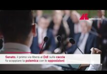 Ddl caccia, via libera del Senato: scoppia polemica opposizioni
