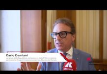 Educazione finanziaria: Damiani (Senato), ‘Serve unire istituzioni e associazioni’