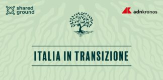 Energia, Vitiello: “La transizione non sia una guerra ideologica: servono sicurezza, nucleare e fonti decarbonizzate”