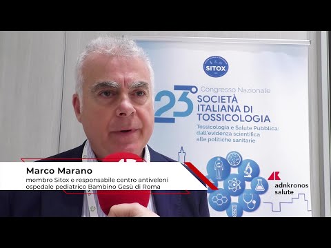 Estate: tossicologo Marano, ‘morso di vipera raro, ma pericoloso per i bambini’