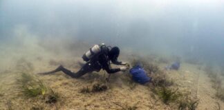 Findus rafforza l’impegno per la tutela del mare, lotta a plastiche e ripristino posidonia oceanica