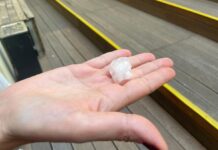Forte grandinata a Roma, pioggia di chicchi grandi come palle da golf