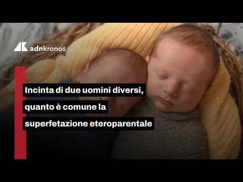 Gemelli nati dalla stessa madre, con padri diversi: come avviene la “superfetazione eteropaternale”