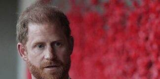 Harry torna a casa con la famiglia, incontrerà William? L’ipotesi e il desiderio
