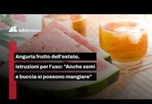 Il frutto succoso simbolo dell’estate ha due benefici a molti sconosciuti