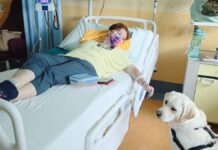 In Veneto prima chemio con cagnolina (Joy) al letto della paziente