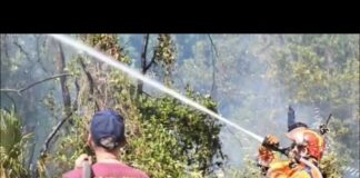 Incendio a Castel Porziano, Canadair in azione a Ostia