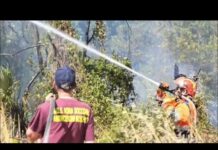Incendio a Castel Porziano, Canadair in azione a Ostia
