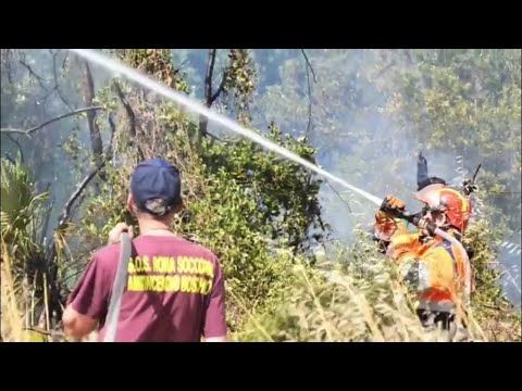 Incendio a Castel Porziano, Canadair in azione a Ostia