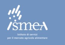 Ismea: bilancio 2025, ente solido e utile in crescita, approvati nuovi criteri Banca nazionale delle Terre Agricole