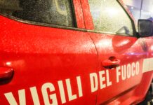Leccio monumentale incendiato a Bagno a Ripoli, identificati 4 minori: volevano cuocere wurstel