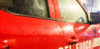 Leccio monumentale incendiato a Bagno a Ripoli, identificati 4 minori: volevano cuocere wurstel