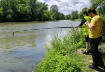 Legambiente, focus su Bacchiglione e Retrone malati: “Urge accelerare su depurazione e contenimento PFAS” Legambiente Bacchiglione