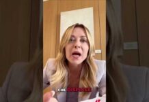 Meloni risponde a Trump: “Dichiarazioni inventate, io e l’Italia non imploriamo mai”
