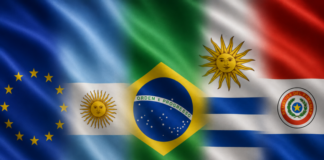 Mercosur e imprese a Vicenza, Webinar Confcommercio spiega le opportunità del libero scambio con il Sud America Mercosur e imprese a Vicenza