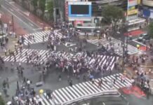 Mondiali, il Giappone pareggia con l’Olanda e a Tokyo si fa festa… al semaforo
