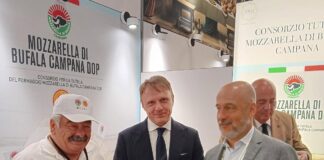 Mozzarella dop: Consorzio a New York per mostrare a pubblico Usa come nasce bufala campana