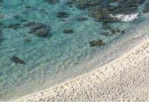 Niente ombrellone se hai tra 10 e 65 anni, il mondo guarda la Sardegna. E la regola divide turisti e ambientalisti