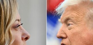 Nuovo attacco di Trump a Meloni, Crosetto: “Fondamentale mantenere rapporti con Usa”