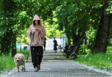 Obbligo di lavare la pipì del cane in strada, Bassetti: “Dal punto di vista scientifico non serve a nulla”