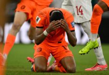 Olanda-Marocco, Gakpo segna e scoppia a piangere