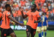Olanda-Tunisia: orario, probabili formazioni e dove vederla in tv