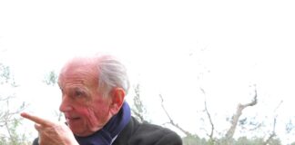 Olio, Borzatta (I&P): “Nella Tuscia l’evo si riscopre tra innovazione, contaminazioni e comunità”