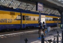 Omicidio alla stazione Certosa di Milano, fermato un 19enne