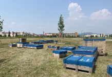 Vicenza, installate nuove sedute in legno al Parco della Pace Parco della Pace Vicenza sedute in Legno
