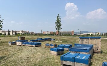 Vicenza, installate nuove sedute in legno al Parco della Pace Parco della Pace Vicenza sedute in Legno