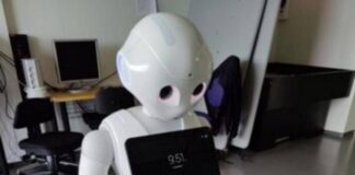 Pepper un umanoide per amico, il test col robot sociale svela com’è il compagno di giochi ideale