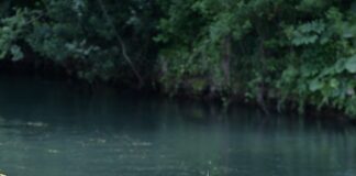 Rieti, ragazzo di 15 anni si tuffa nel fiume Velino e annega: recuperato il corpo