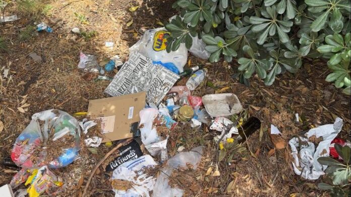 Roma, aiuole e marciapiedi nel degrado intorno alla Nuvola: all’Eur cittadini costretti a camminare fra le auto